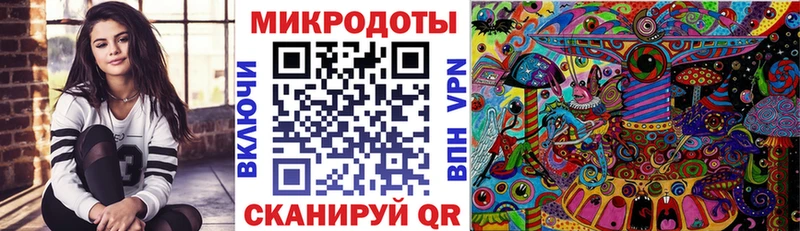 Купить где  Кола  Псилоцибиновые грибы прущие грибы 